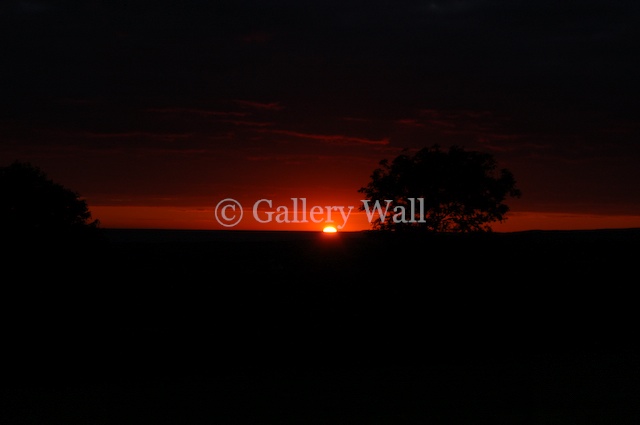 August Sunset